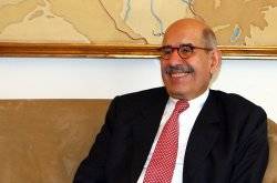 ElBaradei will not seek Egypt presidency 