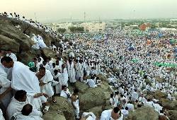 Millions of pilgrims stay at Arafat