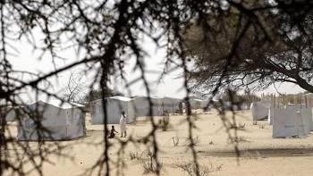 Chad and Niger launch offensive against Boko Haram