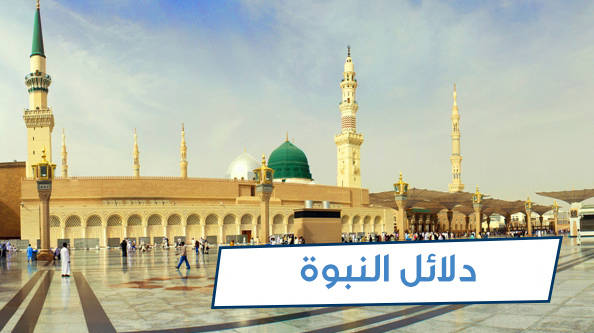 شاهت الوجوه