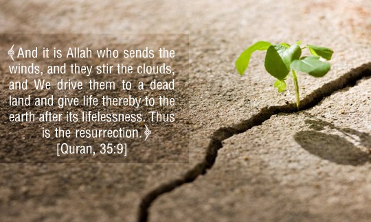  Resurrection after Death in the Verses of the Noble Quran - I