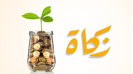 الزكاة ركن الإسلام وسبب البركة والنجاة