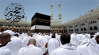 الحجُّ المبرورُ؛ تجارةُ المؤمنين، ومدرسةُ المتقين.