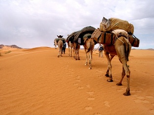 Ramadan en Mauritanie