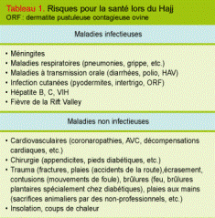 Vaccinations spciales du plerin